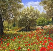 Andalucian Poppies painting