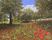 Andalucian Poppies painting