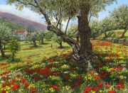 Andlucian Olive Grove painting