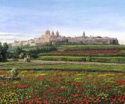 Mdina poppies, Malta painting